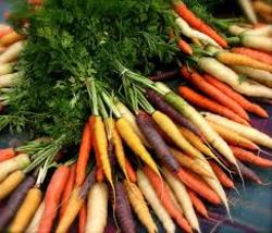 Carrot Bunches (LOCAL)